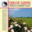 Summer cover
