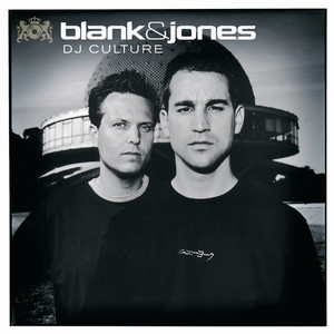 DJ Culture album