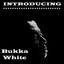 Introducing Bukka White cover
