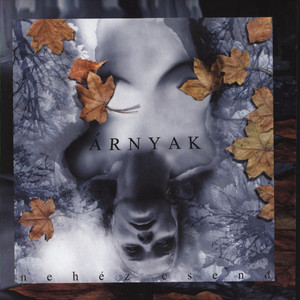 Nehéz csend cover