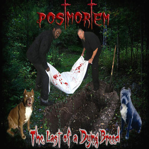 Last Of Dying Breed Albumcover