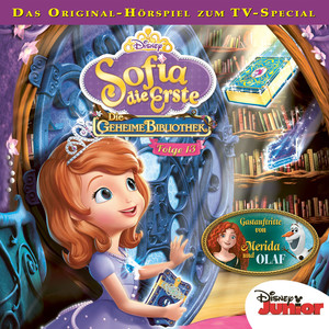 Folge 13: Die geheime Bibliothek Audiobook