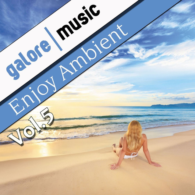 Enjoy Ambient, Vol. 5 Albumcover