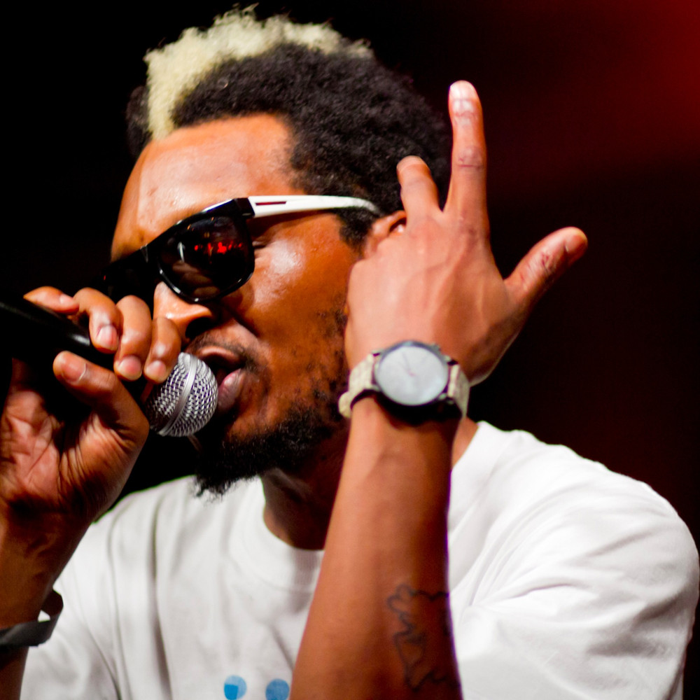 Del The Funky Homosapien image