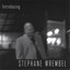Introducing Stephane Wrembel Albumcover