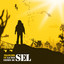 La tentation du sel Albumcover