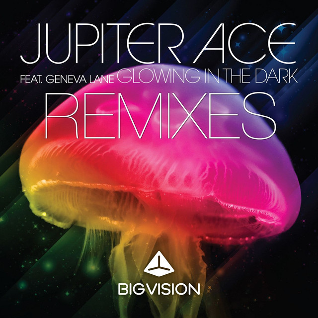 Jupiter Ace Photo