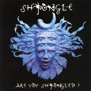 Are You Shpongled? album
