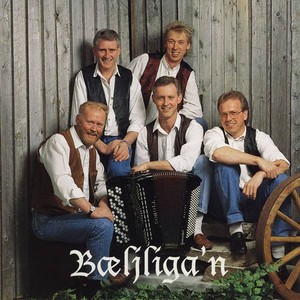 B&oelig;ljliga'n