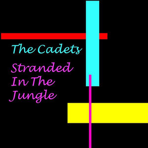 Stranded in the Jungle album