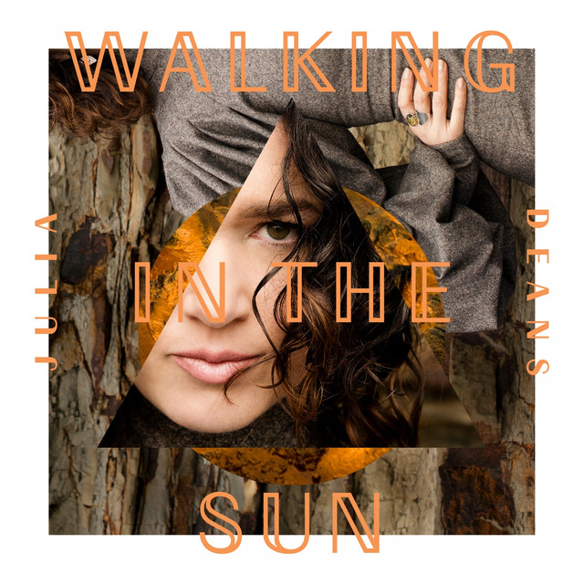 Walking In The Sun cover
