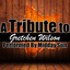 A Tribute to Gretchen Wilson Albumcover