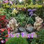 The Nature Collection: New Earth Albumcover