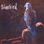 Silverbird I Albumcover