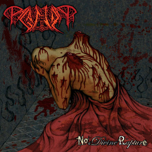 No Divine Rapture cover