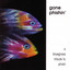 Gone Phishin: A Bluegrass Tribute cover