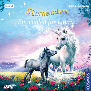Teil 40: Ein Fohlen für Laura (Ungekürzt)