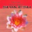 The Beauty Temple. Shiatsu. Massage For Body & Soul Albumcover