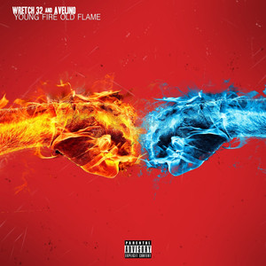 Young Fire Old Flame album