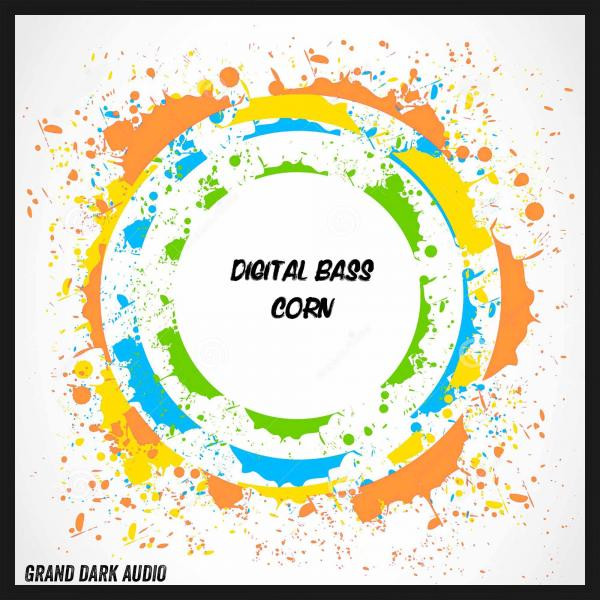 Digital Bass Photo