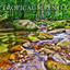 Tropical Serenity Albumcover