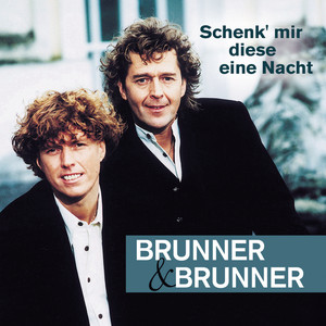 Schenk' mir diese eine Nacht cover