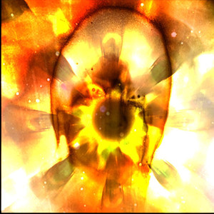 Chakra & Hans Utter