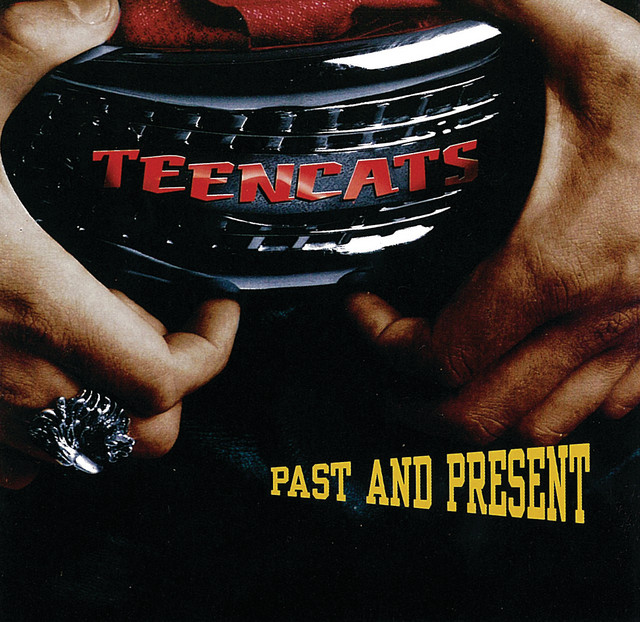 Teencats Photo