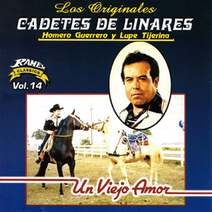 Un viejo amor album
