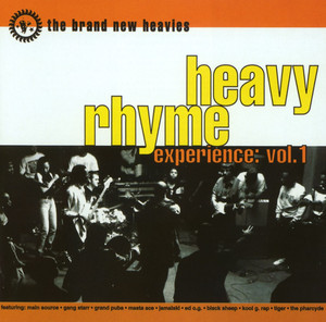 Heavy Rhyme Experience Vol. 1 album