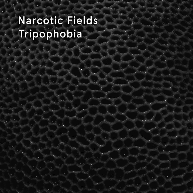 Narcotic Fields Photo