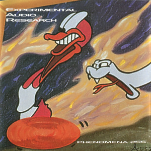 Phenomena 256 cover