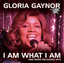 I Am What I Am - And More Reloaded Hits cover