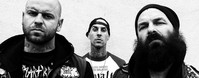 Transplants profile