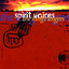 Spirit Voices cover