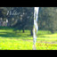 Water Albumcover