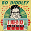 Bo Diddley - Jukebox Hero cover
