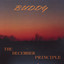 The December Principle cover