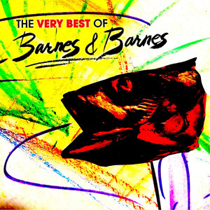 The Very Best of Barnes & Barnes album