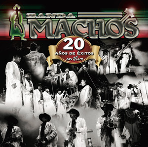 20 Años De Exitos En Vivo album