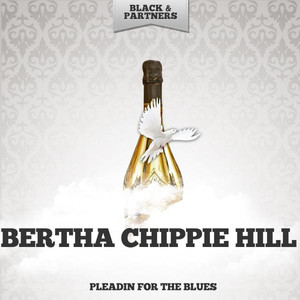 Pleadin for the Blues album