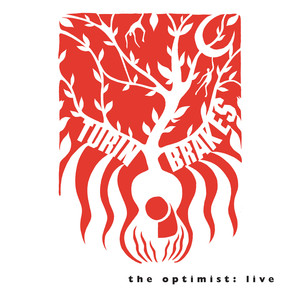 The Optimist Live 2011 - London, Koko on the 11.11.11 album