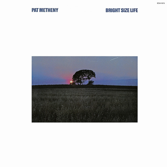 Bright Size Life cover