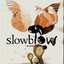 Slowblow Albumcover
