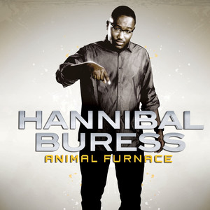 Animal Furnace album