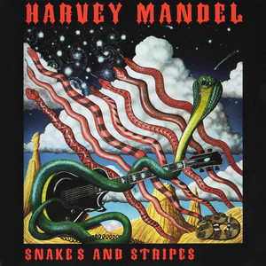 Snakes and Stripes album