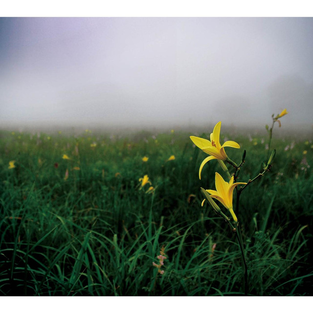 Lusrica Photo
