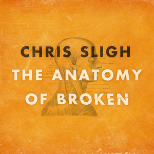 The Anatomy of Broken cover