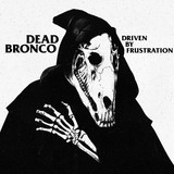 Dead Bronco Photo