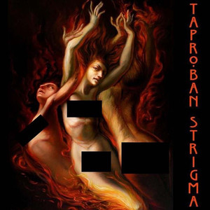 Strigma cover